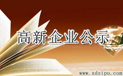2016年廣州市高新技術(shù)企業(yè)認(rèn)定名單