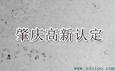 2016年肇慶市高新技術(shù)企業(yè)認(rèn)定名單