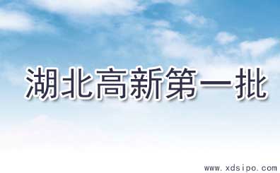 湖北省2016年第一批擬認(rèn)定高新技術(shù)企業(yè)名單