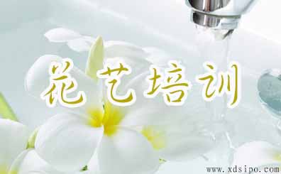 花藝培訓注冊商標如何選類別 花藝培訓注冊商標如何選類別